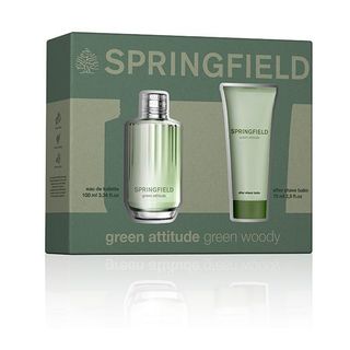 Springfield Estuche Green Atitude 1446830