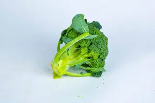 Brocolli