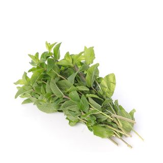 Fresh Mint Leaves, Loose