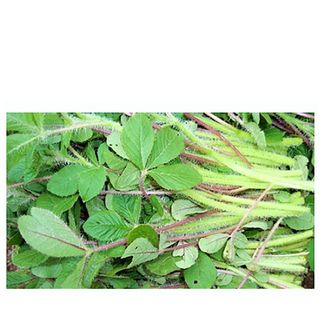 Sagaa Fresh Produce, Loose