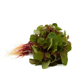 Terere Small Leaves, Loose