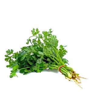 Fresh Dhania/Coriander, Loose