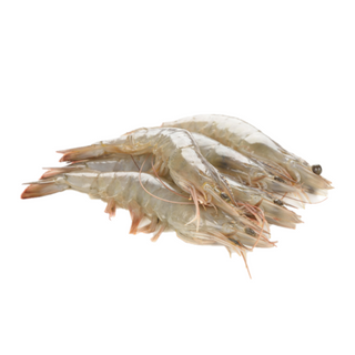 CREVETTE ENTIERE 30-40