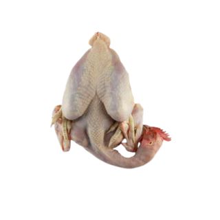 POULET EFFILE LOCAL +/-800G