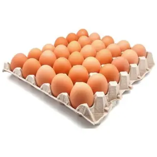 Œuf