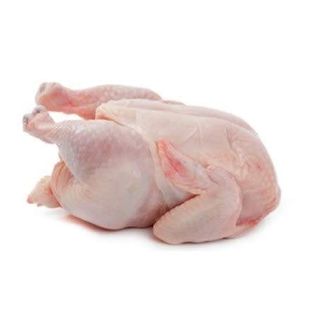 Poulet Pondeuse