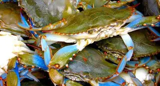 Crabe