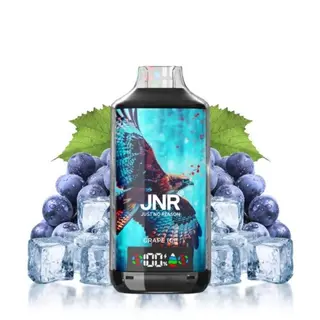 18000 Puff Falcon-X Grape Ice - JNR