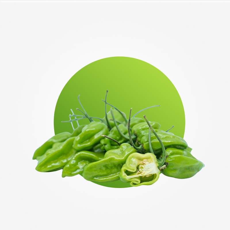 Half Paint Green Habenero, Single Pack