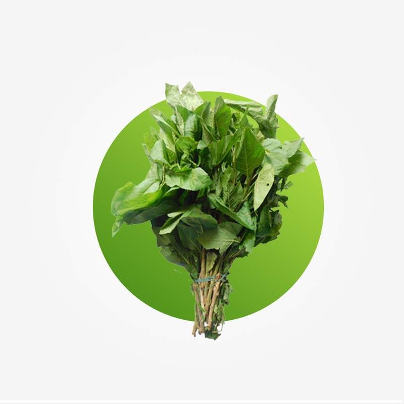 Bitter Leaf Fresh Bunch