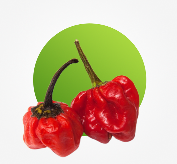Rodo Pepper, 1.2Kg