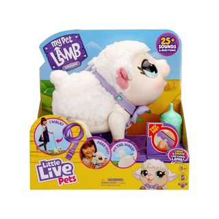 LLP  LAMB SNOWIE,A075642