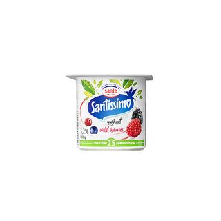 სანტისიმო იოგურტი ერკა ტყის კენკრა 110 გ/4860051007702