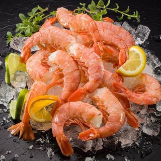 Gambori Argentinski L2 (20/40) 2kg MBT Svet