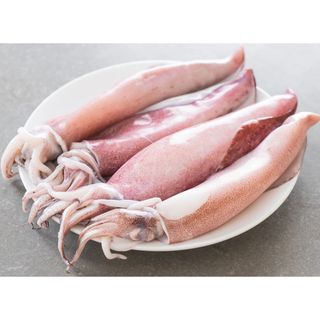 Lignja Novi Zeland tuba i krakovi 1kg Cogi