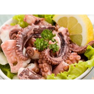 Hobotnica 1,5kg-2kg MBT Svet