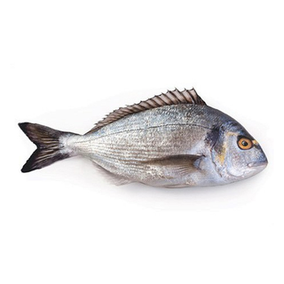Orada svježa 300g-400g Cogi