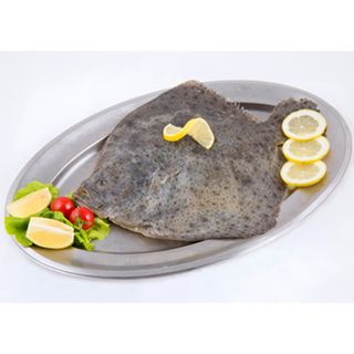 Rumbac (Turbot) 1kg-1,5kg MBT Svet