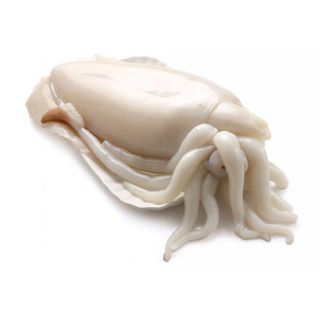 Sipa očišćena 300-500gr Cogi