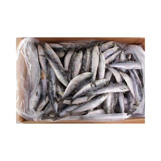 Sardela zamrznuta 100g Cogi