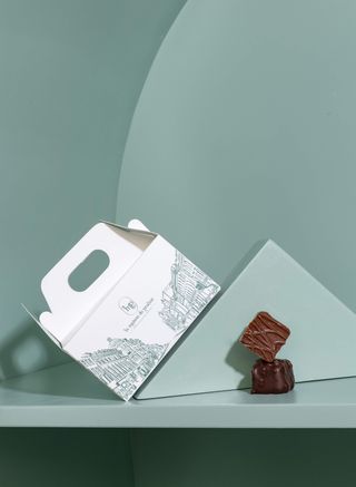 Ballotin signature chocolat 250g