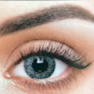 Faceloox Royal Gray