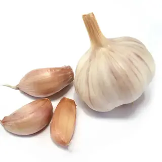 Usturoi