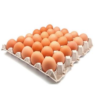 Plateau 30 Œufs