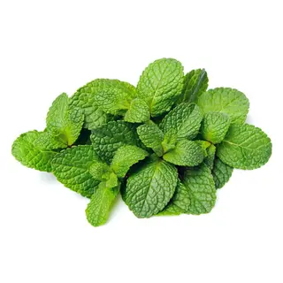 Menthe