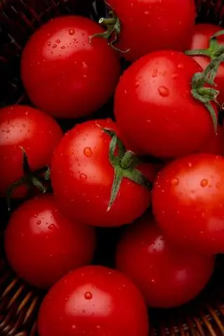 Tomate 1kg