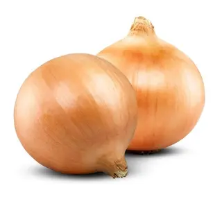Oignon