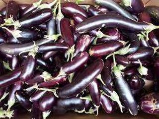 Aubergine
