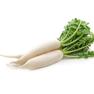 Navet Blanc