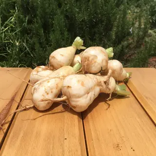 Navet blanc - 500 g