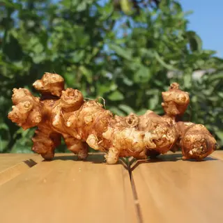 Topinambour - 500 g
