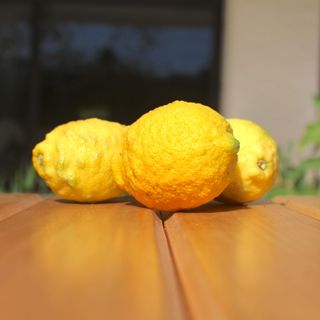 Citron - 500 g