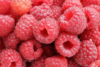 Framboise