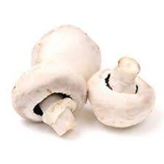 Champignon