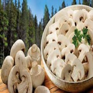 Champignon De Paris barquette 250 G