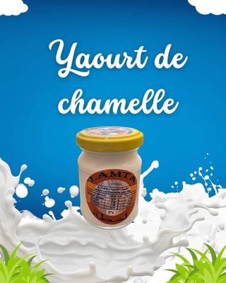 Yaourt De Chamelle 120g