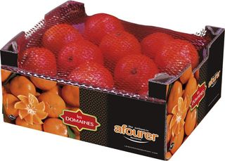 Mandarine Afourer - Colis 2,2kg
