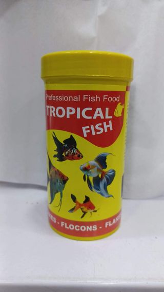 Tropical Fish Grand