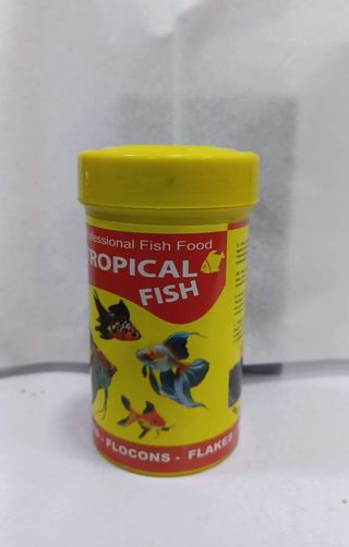 Tropical Fish Grand Petit