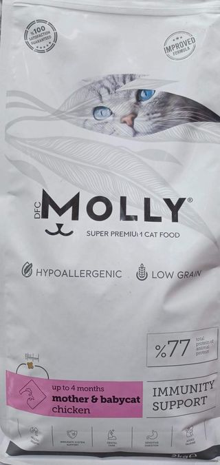 Molly Mother And Baby Cat 2kg