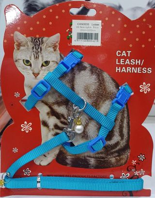 Harnais Chat