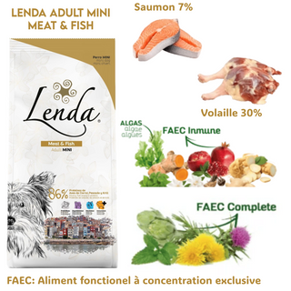 Croquette Chien Mini Adult Meat & Fish 2kg