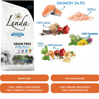 Croquette Chien Mini Grain Free Hypoallergénique SKIN & GOAT 2KG