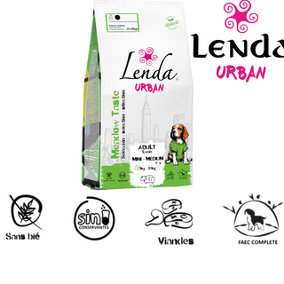 Croquette Chien Mini-Medium : Agneau 2 kg