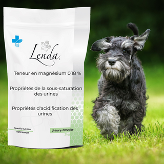 Croquette naturelle Chien Urinary-Struvite 2 KG