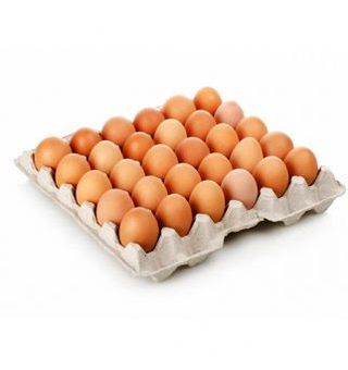 Sbv Plateaux X30 Œuf Filme